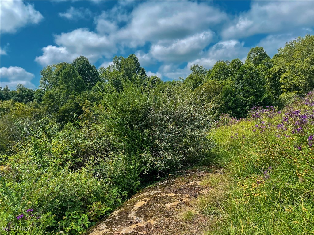 226 Banner Hill Road Spencer, WV 25276 - Photo 21 of 35