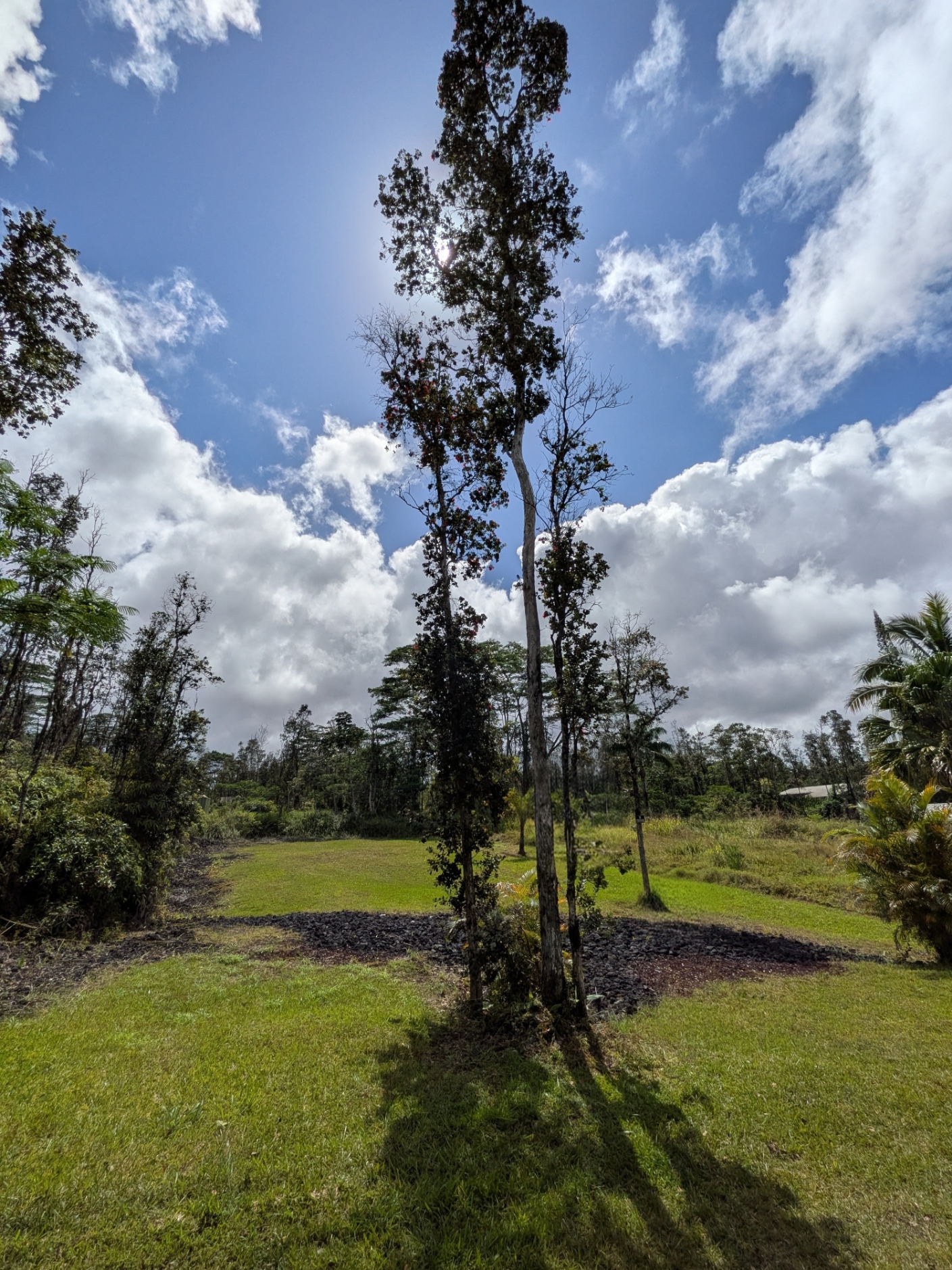 847 Molokai Road Pahoa, HI 96778 - Photo 9 of 24 Gallery Image 9