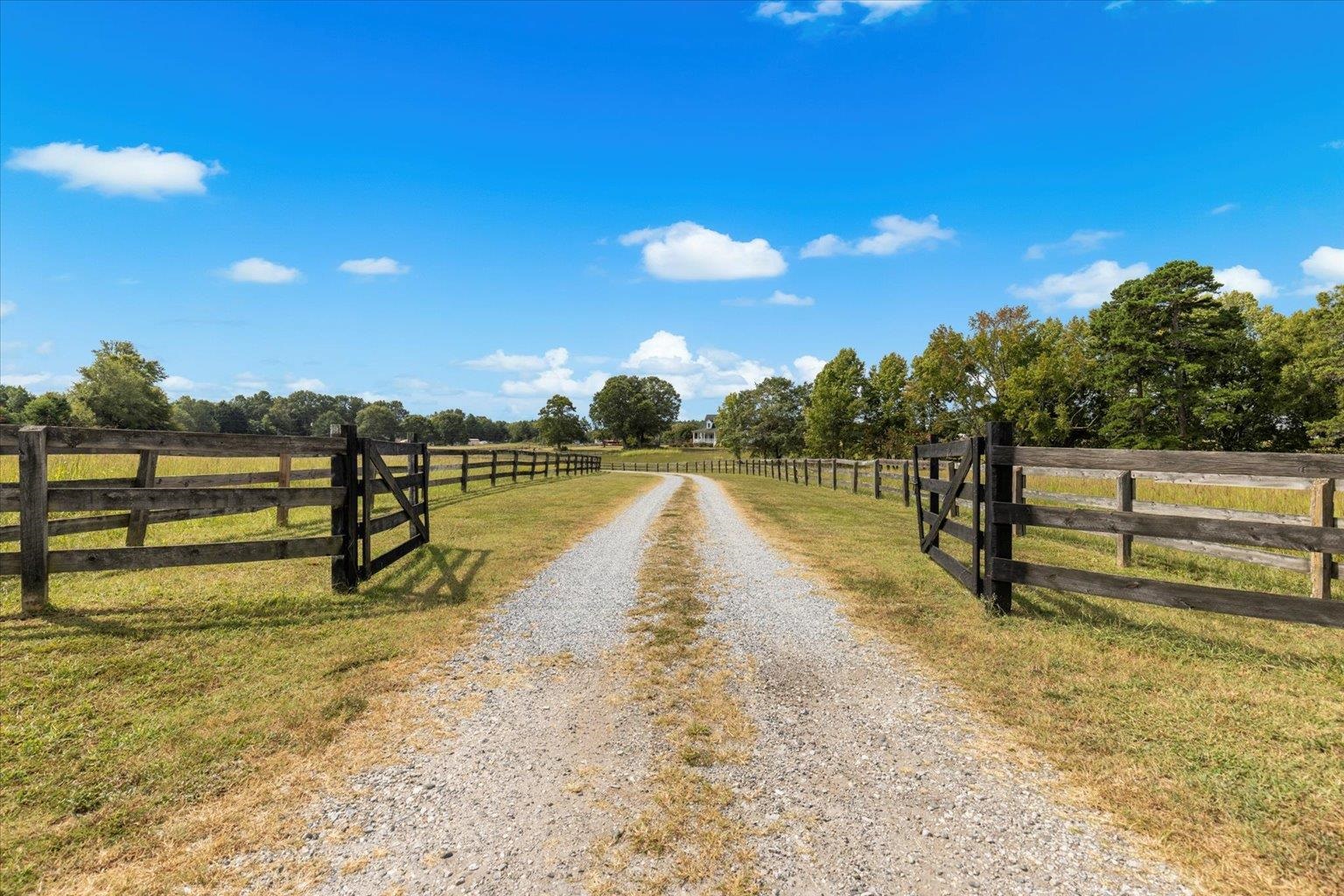 8229 New Cut Road Campobello, SC 29322 - Photo 11 of 42