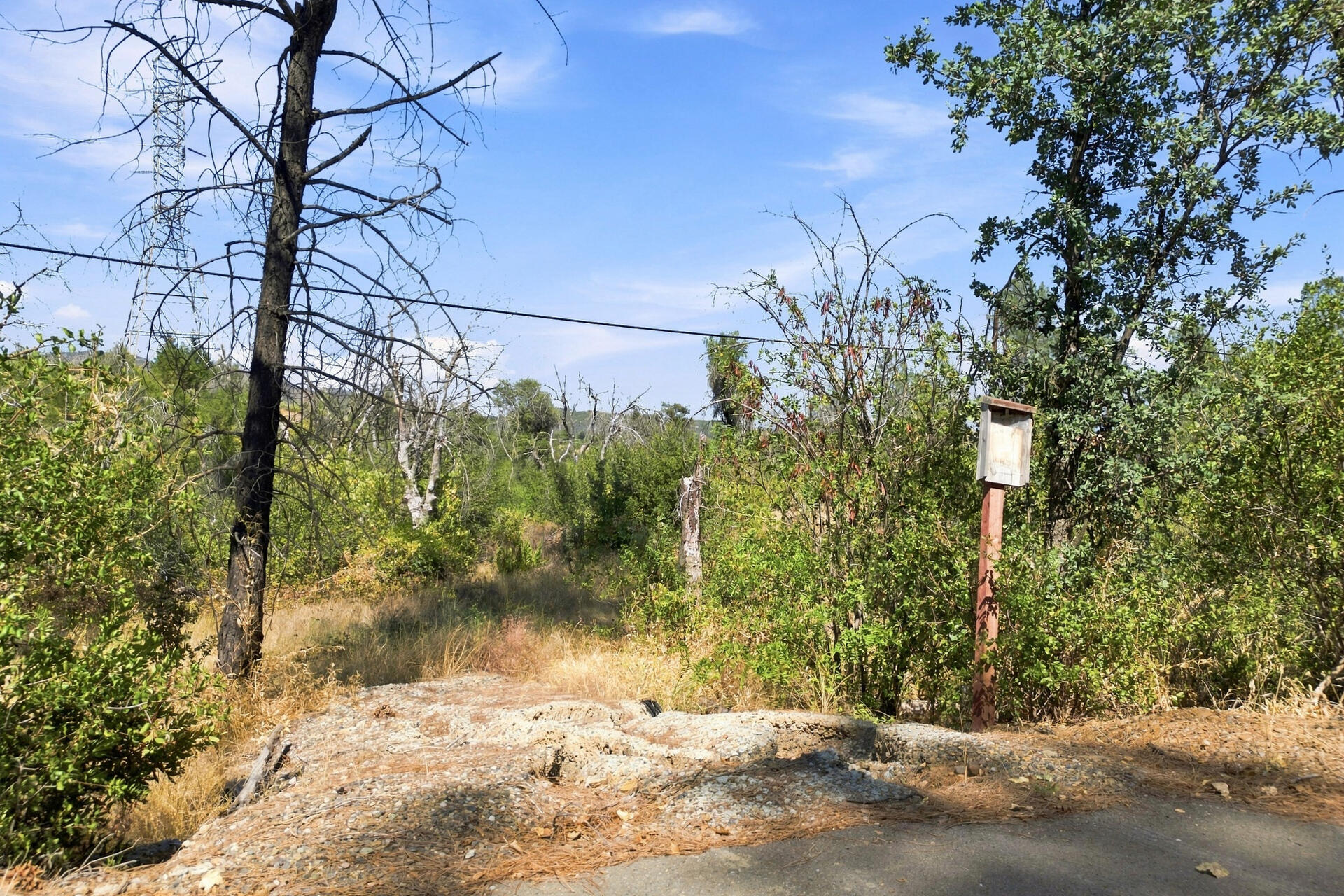 Nsa Tollhouse Road Shasta, CA 96087 - Photo 4 of 10 Tollhouse Road-2