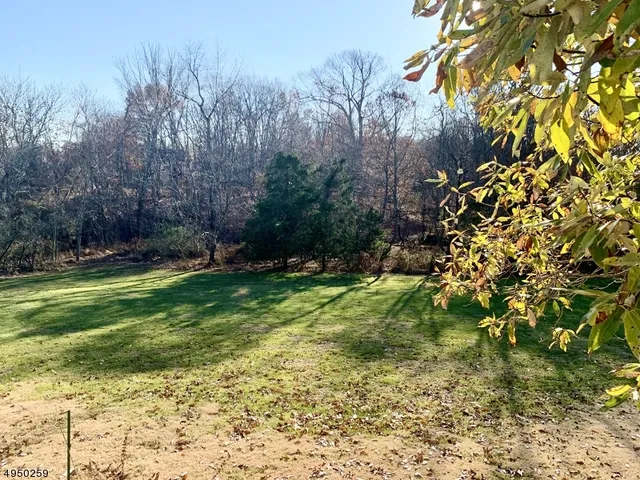 a view of backyard with green space