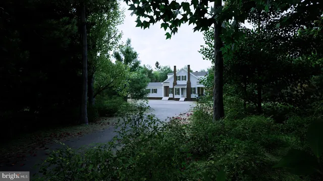 a view of street with green space
