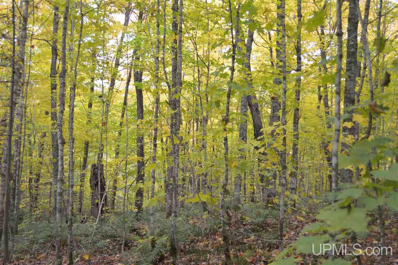 Tbd Peshekee Grade Road Skanee, MI 49962 - Photo 22 of 35