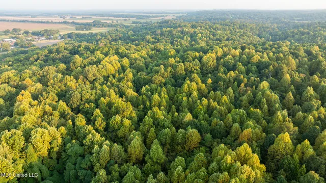 $4,500,000 | 1912 Poplar Springs Road, Mendenhall, MS 39114