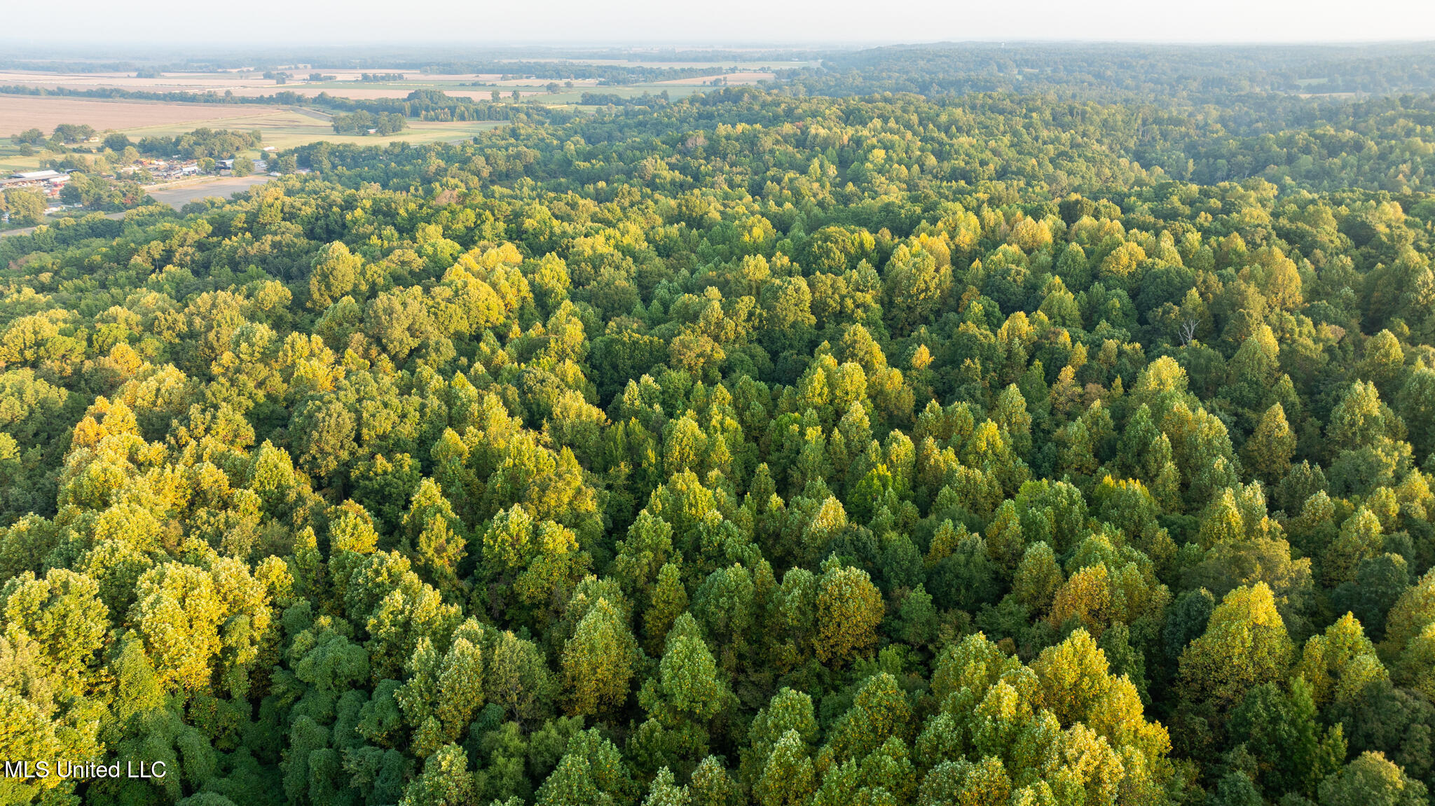 1912 Poplar Springs Road Mendenhall, MS 39114 - Photo 17 of 89 MLS Tallahatchie 847 -17