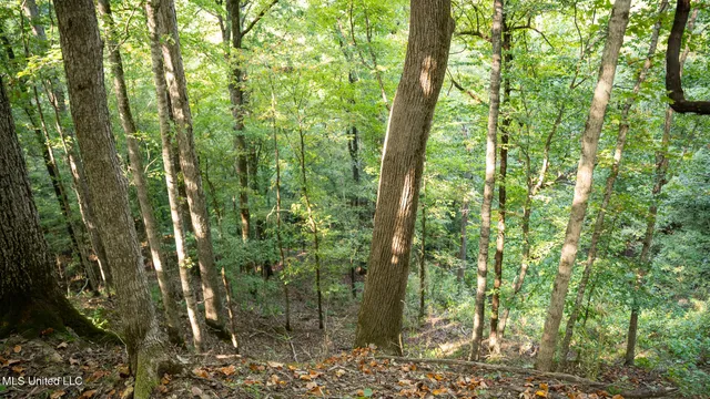 $4,500,000 | 1912 Poplar Springs Road, Mendenhall, MS 39114