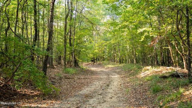 $4,500,000 | 1912 Poplar Springs Road, Mendenhall, MS 39114