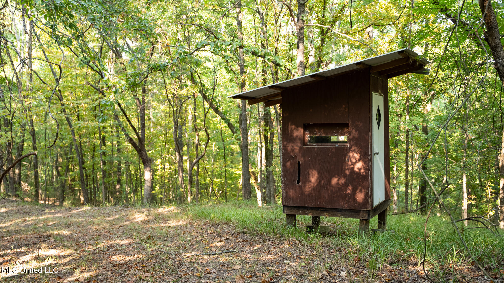 1912 Poplar Springs Road Mendenhall, MS 39114 - Photo 20 of 89 MLS Tallahatchie 847 -20