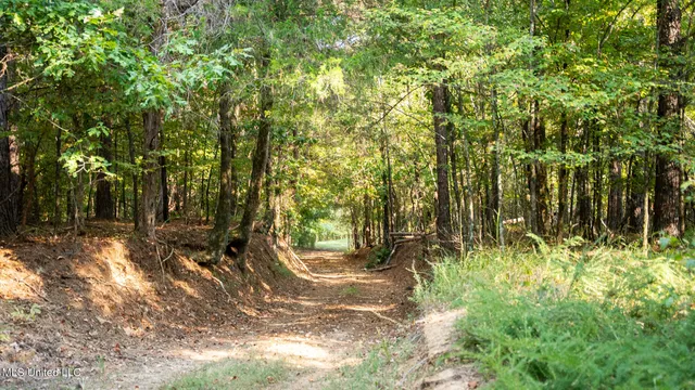 $4,500,000 | 1912 Poplar Springs Road, Mendenhall, MS 39114