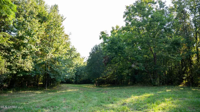 $4,500,000 | 1912 Poplar Springs Road, Mendenhall, MS 39114