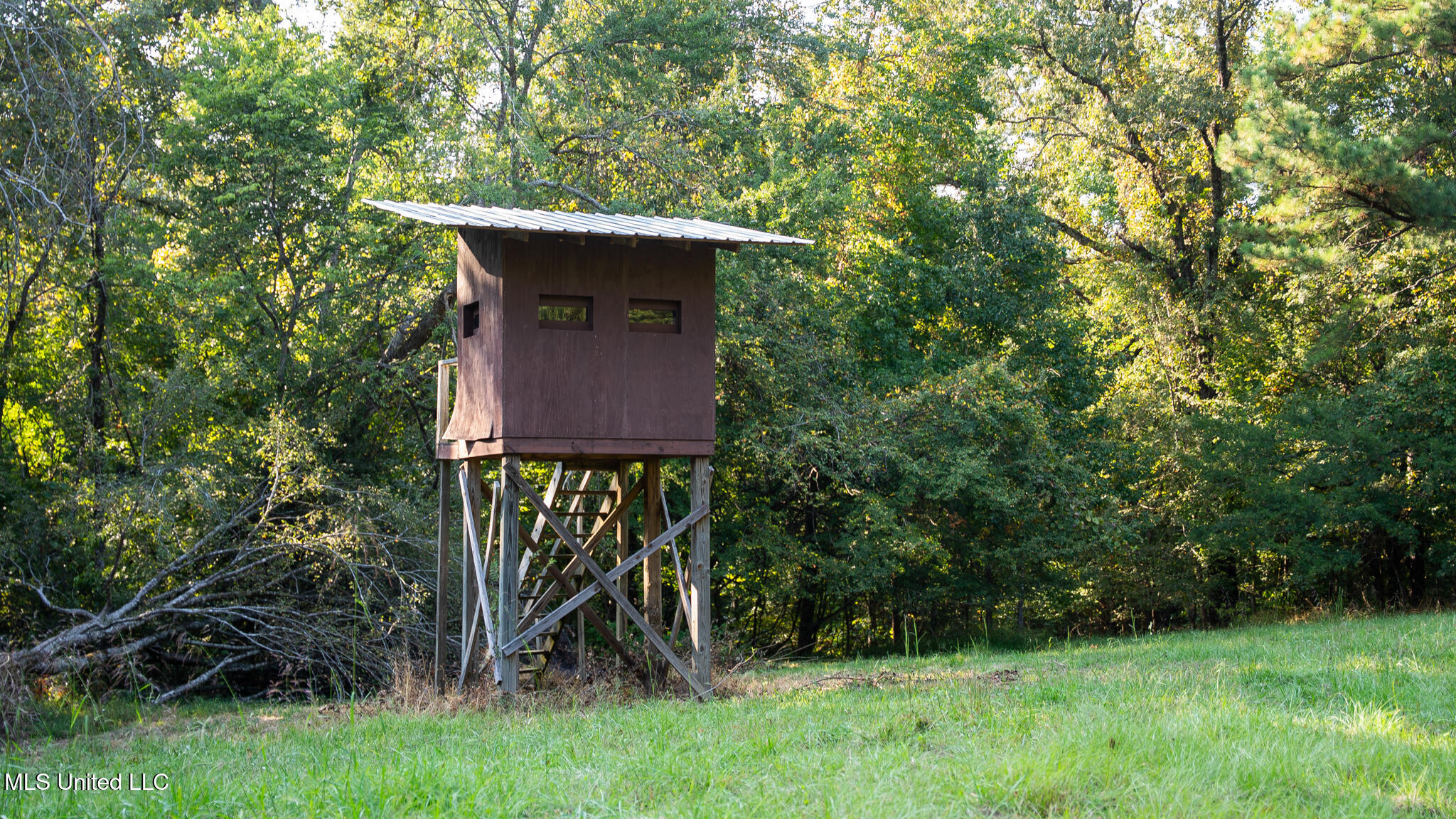 1912 Poplar Springs Road Mendenhall, MS 39114 - Photo 24 of 89 MLS Tallahatchie 847 -24