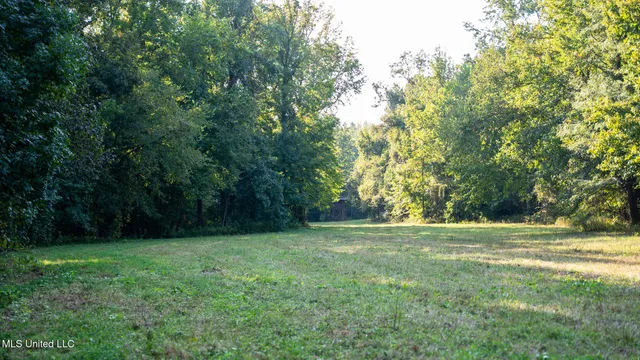 $4,500,000 | 1912 Poplar Springs Road, Mendenhall, MS 39114