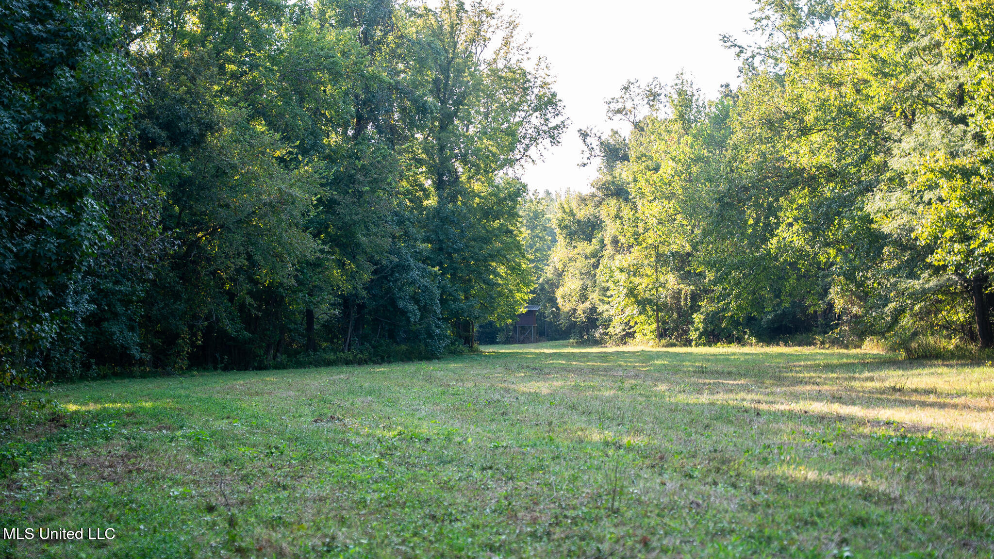 1912 Poplar Springs Road Mendenhall, MS 39114 - Photo 25 of 89 MLS Tallahatchie 847 -25