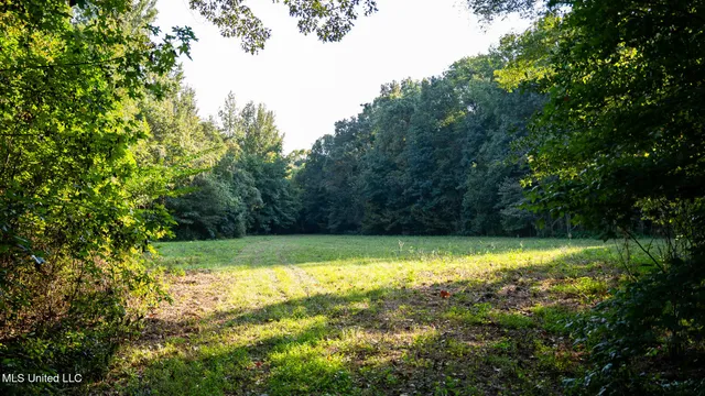 $4,500,000 | 1912 Poplar Springs Road, Mendenhall, MS 39114