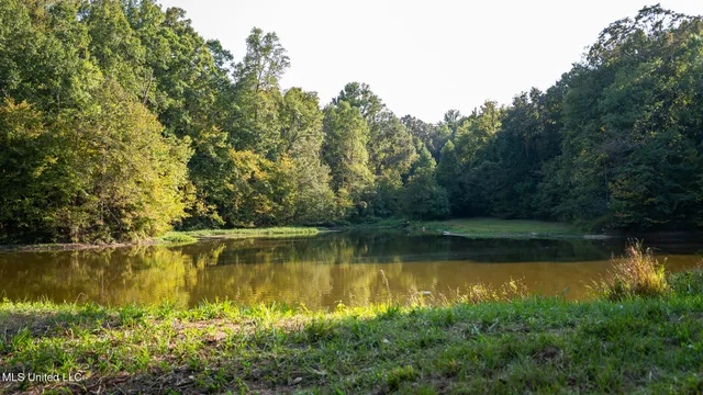 $4,500,000 | 1912 Poplar Springs Road, Mendenhall, MS 39114