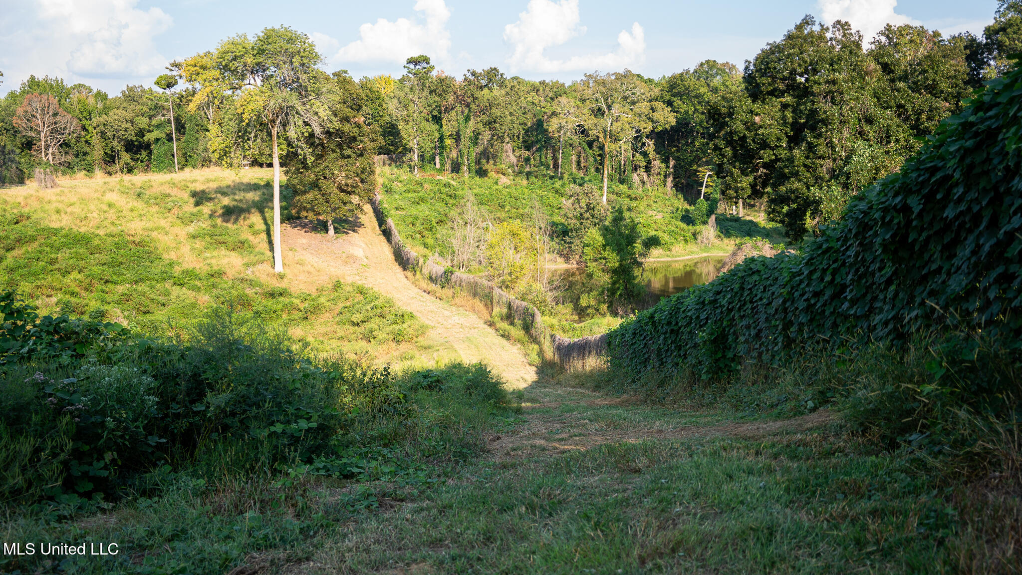 1912 Poplar Springs Road Mendenhall, MS 39114 - Photo 29 of 89 MLS Tallahatchie 847 -29