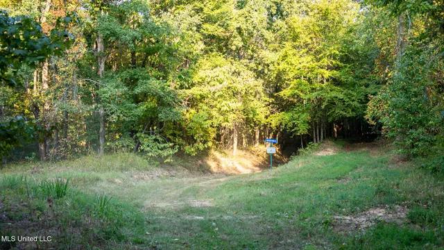 $4,500,000 | 1912 Poplar Springs Road, Mendenhall, MS 39114