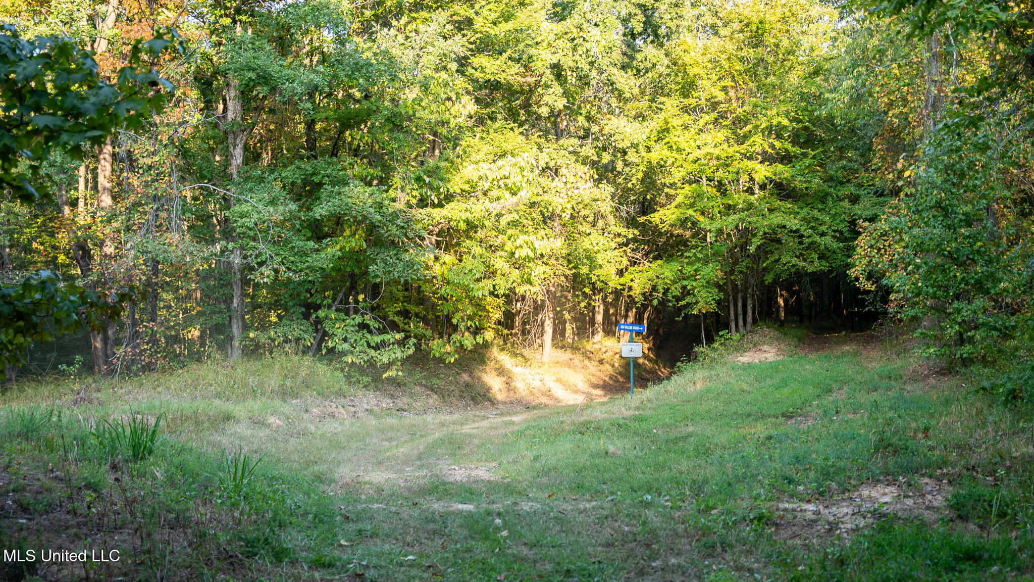 1912 Poplar Springs Road Mendenhall, MS 39114 - Photo 31 of 89 MLS Tallahatchie 847 -31