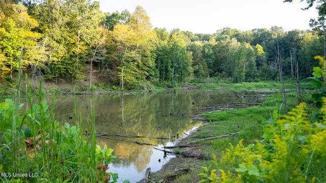 $4,500,000 | 1912 Poplar Springs Road, Mendenhall, MS 39114