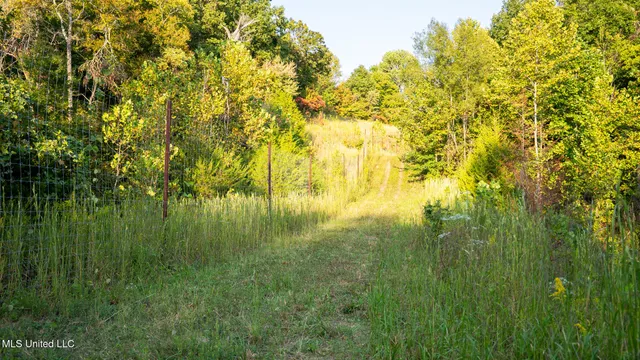 $4,500,000 | 1912 Poplar Springs Road, Mendenhall, MS 39114