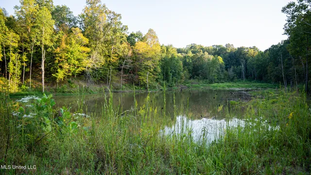 $4,500,000 | 1912 Poplar Springs Road, Mendenhall, MS 39114