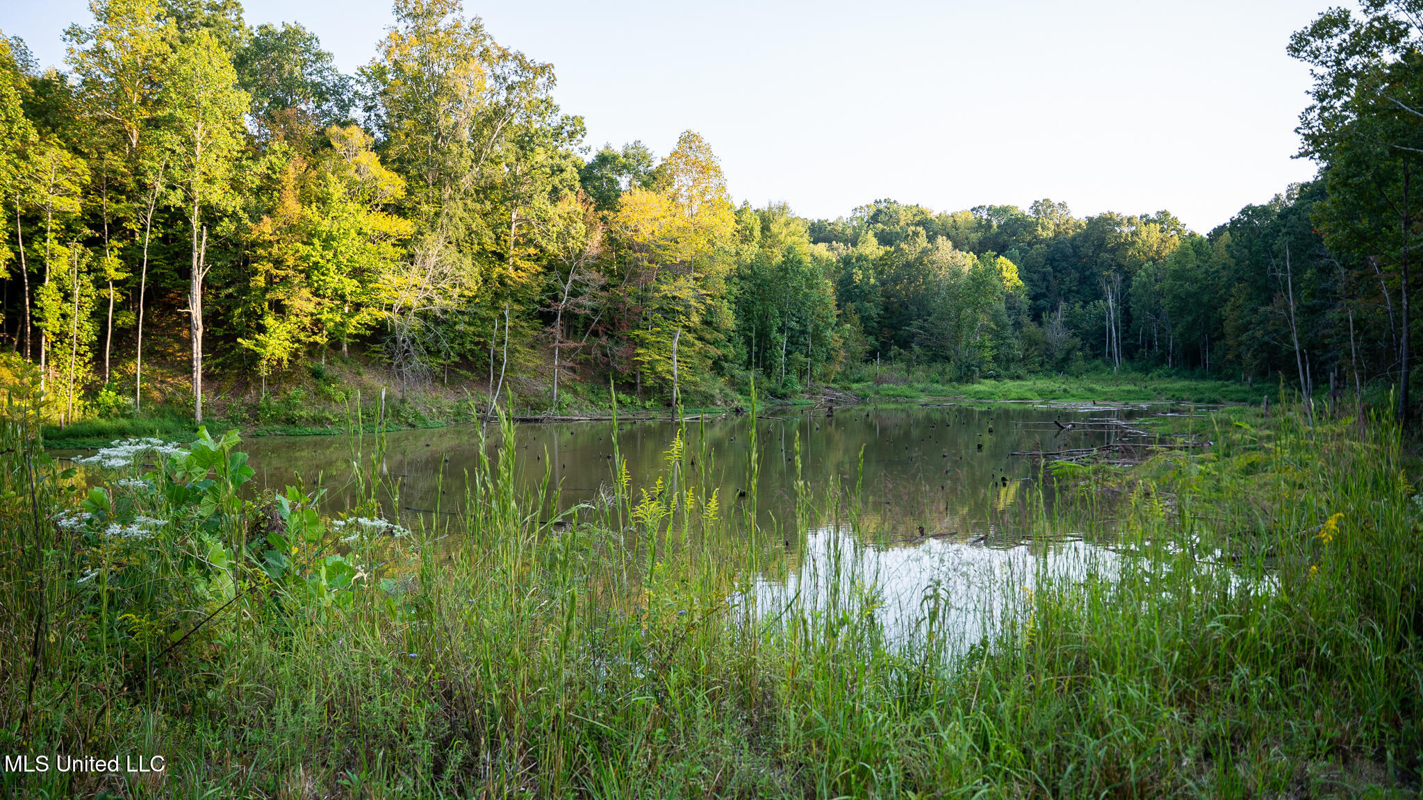 1912 Poplar Springs Road Mendenhall, MS 39114 - Photo 34 of 89 MLS Tallahatchie 847 -34