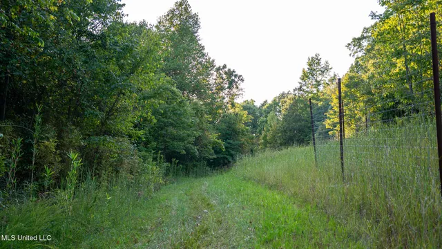 $4,500,000 | 1912 Poplar Springs Road, Mendenhall, MS 39114