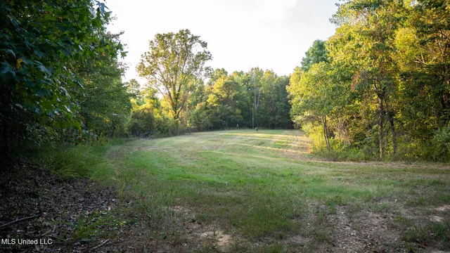 $4,500,000 | 1912 Poplar Springs Road, Mendenhall, MS 39114