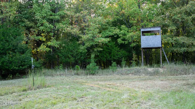 $4,500,000 | 1912 Poplar Springs Road, Mendenhall, MS 39114