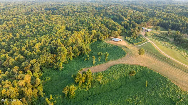 $4,500,000 | 1912 Poplar Springs Road, Mendenhall, MS 39114