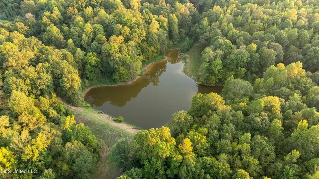 $4,500,000 | 1912 Poplar Springs Road, Mendenhall, MS 39114