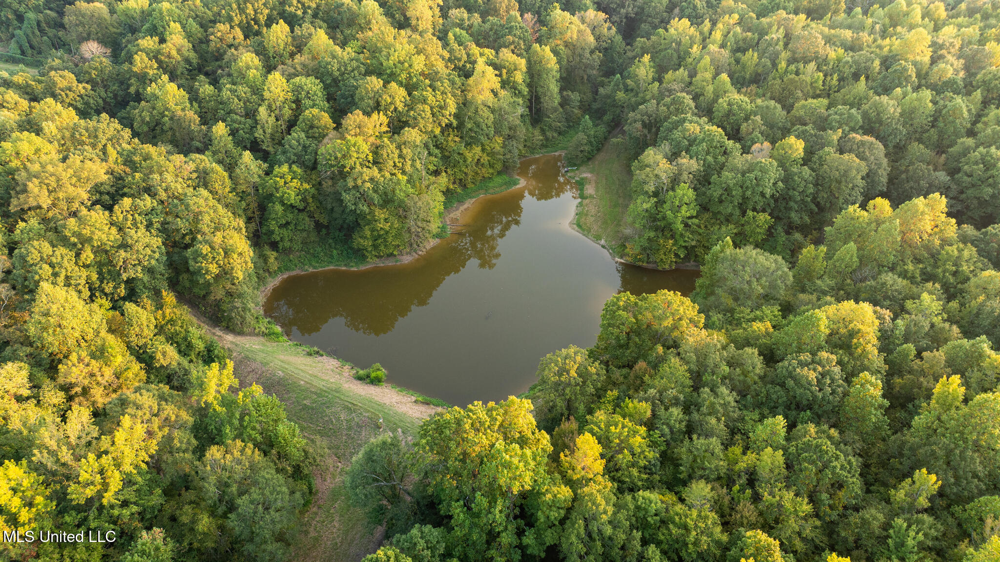 1912 Poplar Springs Road Mendenhall, MS 39114 - Photo 40 of 89 MLS Tallahatchie 847 -40