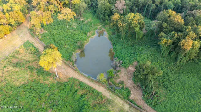 $4,500,000 | 1912 Poplar Springs Road, Mendenhall, MS 39114