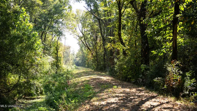 $4,500,000 | 1912 Poplar Springs Road, Mendenhall, MS 39114