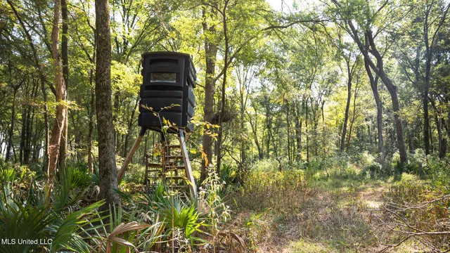 $4,500,000 | 1912 Poplar Springs Road, Mendenhall, MS 39114