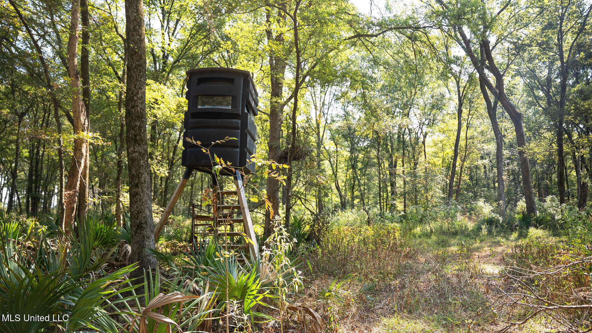 1912 Poplar Springs Road Mendenhall, MS 39114 - Photo 45 of 89 MLS Tallahatchie 847 -45