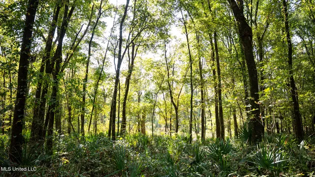 $4,500,000 | 1912 Poplar Springs Road, Mendenhall, MS 39114