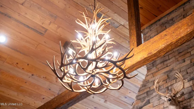 $4,500,000 | 1912 Poplar Springs Road, Mendenhall, MS 39114