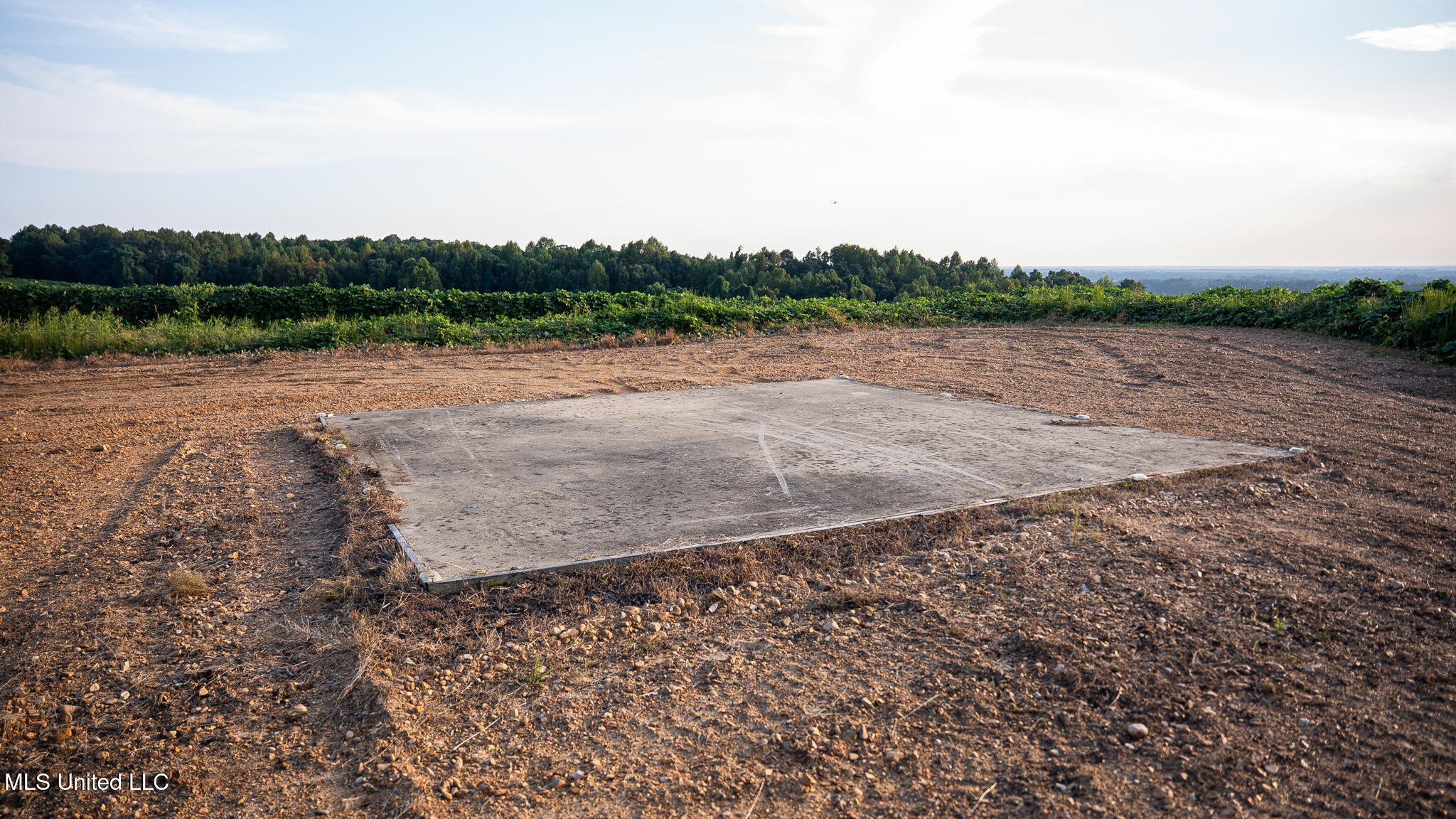 1912 Poplar Springs Road Mendenhall, MS 39114 - Photo 70 of 89 MLS Tallahatchie 847 -70