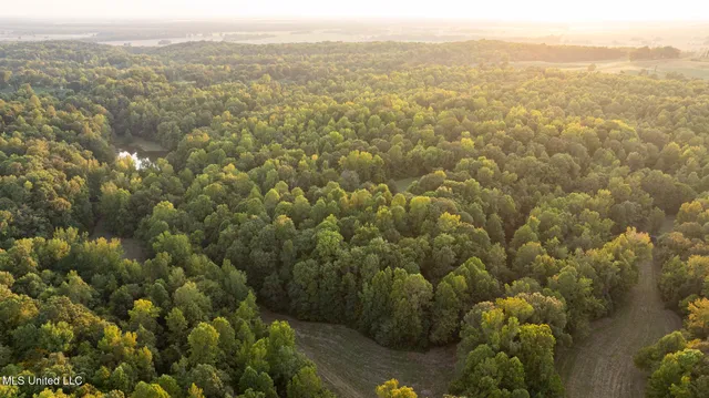 $4,500,000 | 1912 Poplar Springs Road, Mendenhall, MS 39114