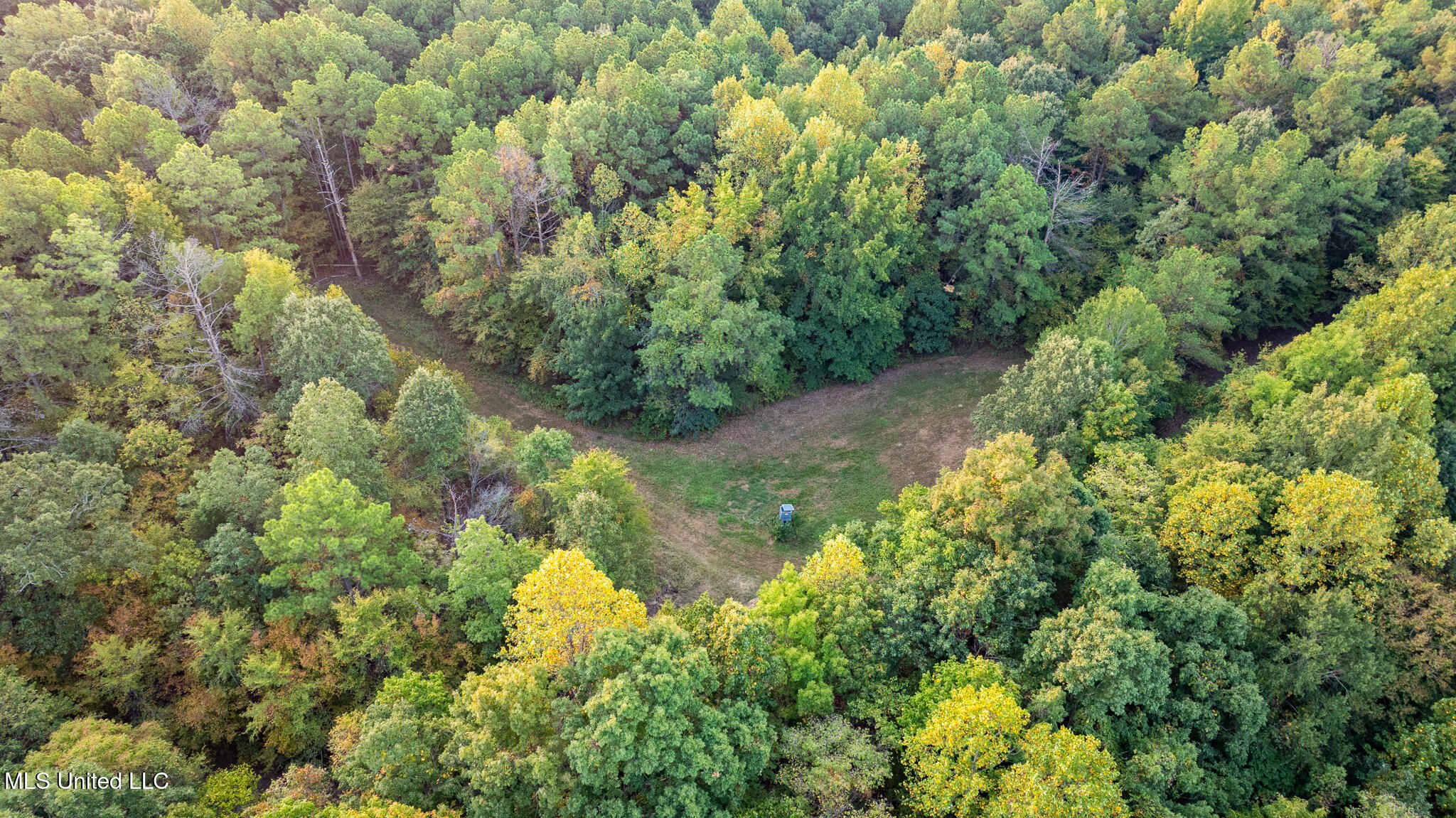 1912 Poplar Springs Road Mendenhall, MS 39114 - Photo 78 of 89 MLS Tallahatchie 847 -78