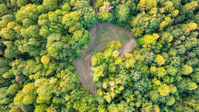 $4,500,000 | 1912 Poplar Springs Road, Mendenhall, MS 39114