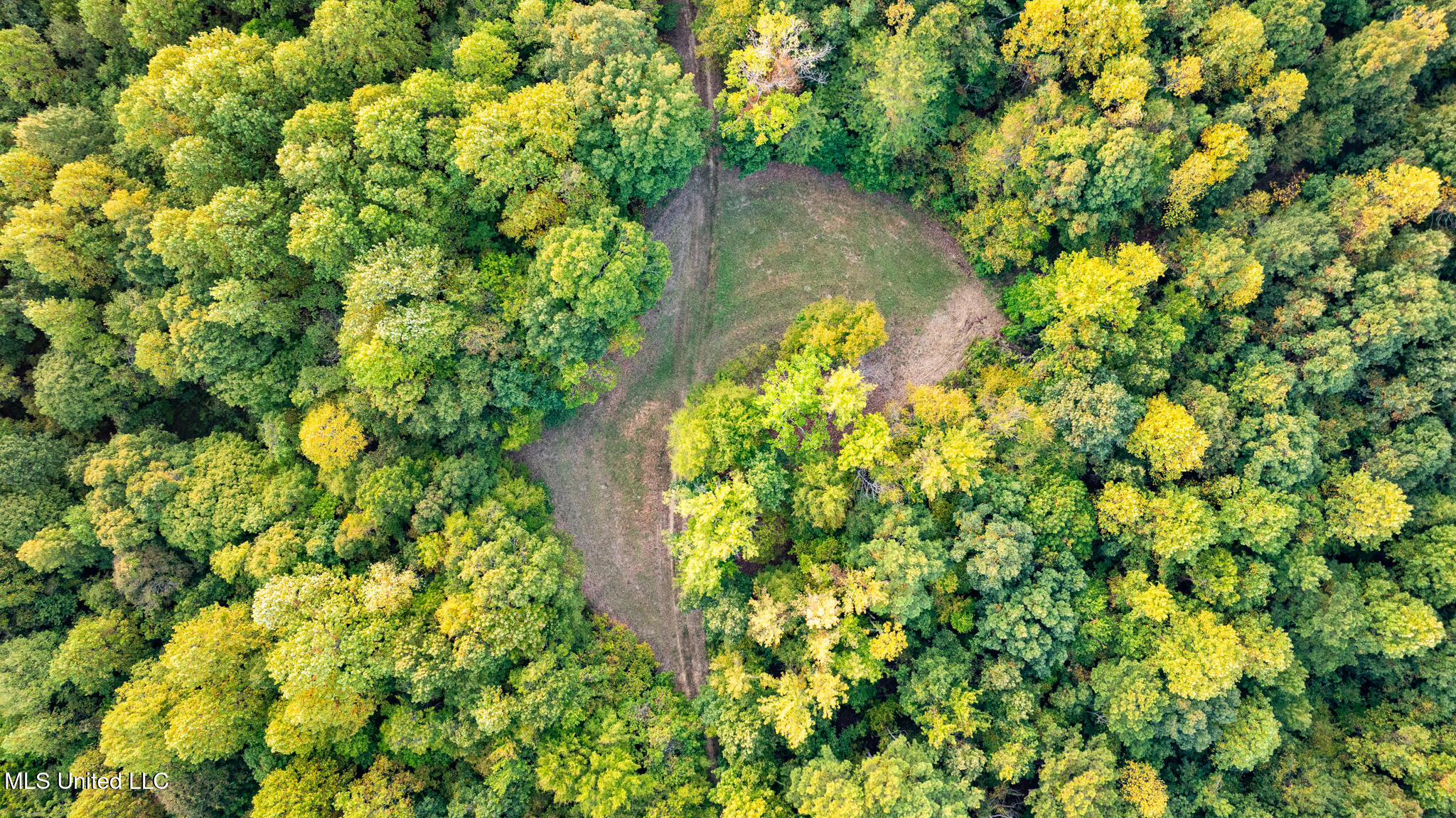 1912 Poplar Springs Road Mendenhall, MS 39114 - Photo 80 of 89 MLS Tallahatchie 847 -79