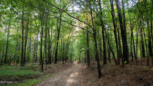 $4,500,000 | 1912 Poplar Springs Road, Mendenhall, MS 39114