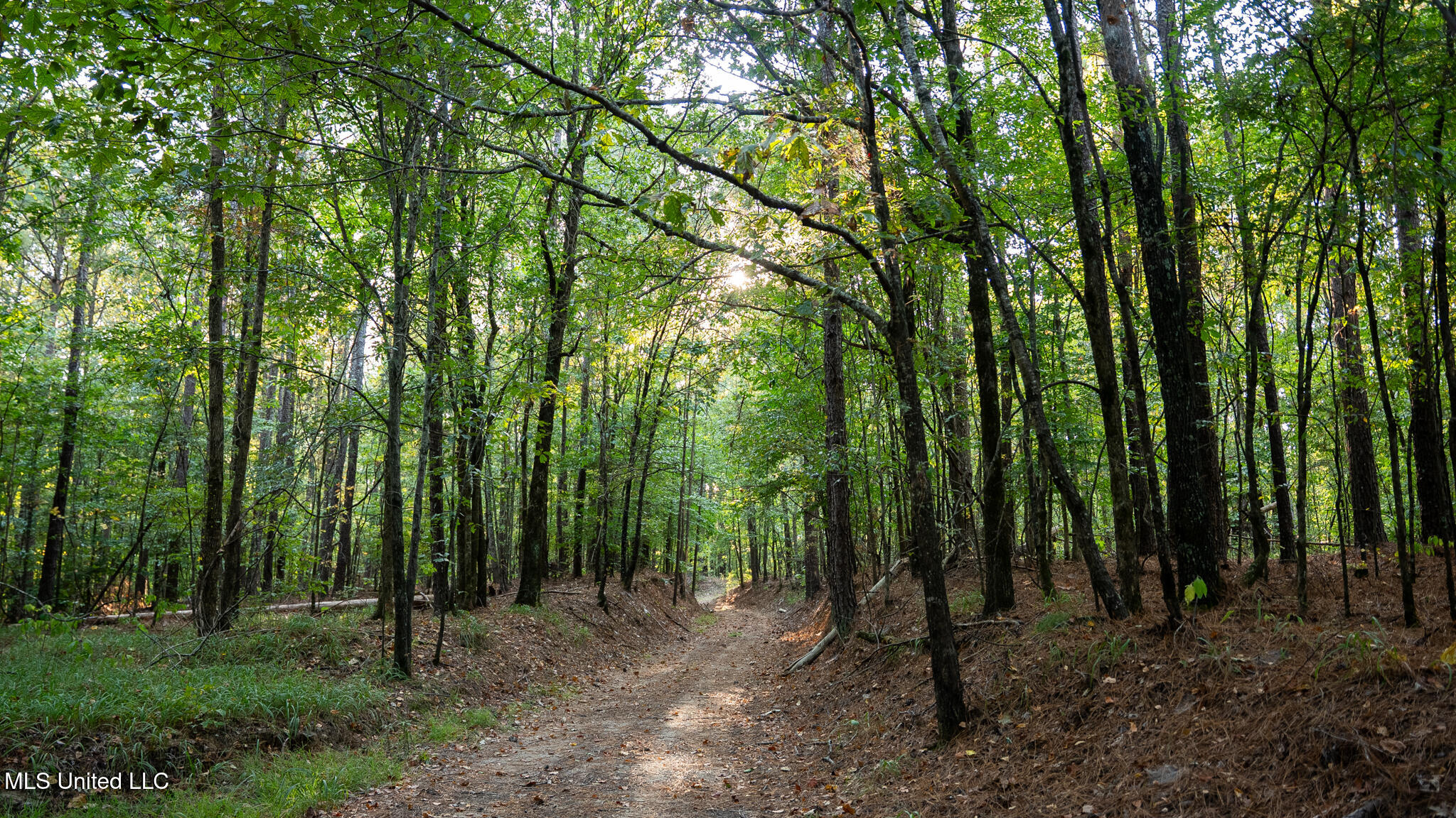 1912 Poplar Springs Road Mendenhall, MS 39114 - Photo 8 of 89 MLS Tallahatchie 847 -08
