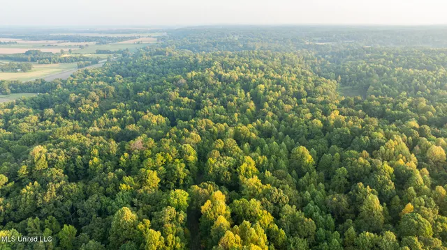 $4,500,000 | 1912 Poplar Springs Road, Mendenhall, MS 39114