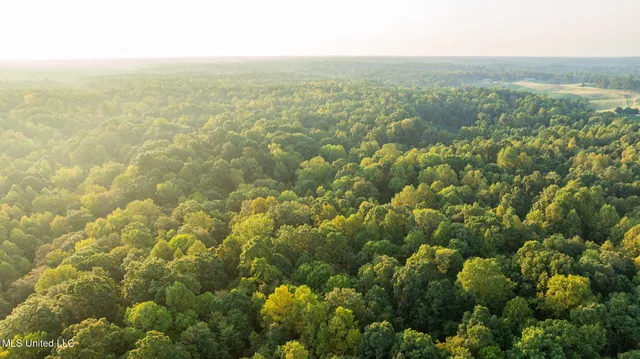 $4,500,000 | 1912 Poplar Springs Road, Mendenhall, MS 39114