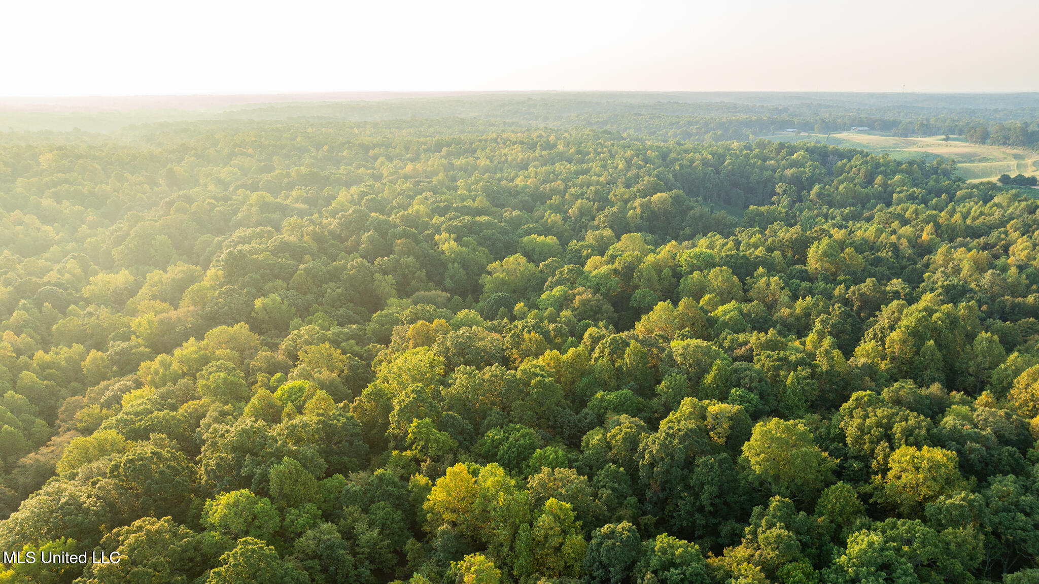 1912 Poplar Springs Road Mendenhall, MS 39114 - Photo 82 of 89 MLS Tallahatchie 847 -82