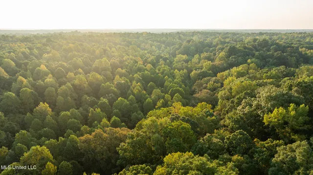 $4,500,000 | 1912 Poplar Springs Road, Mendenhall, MS 39114