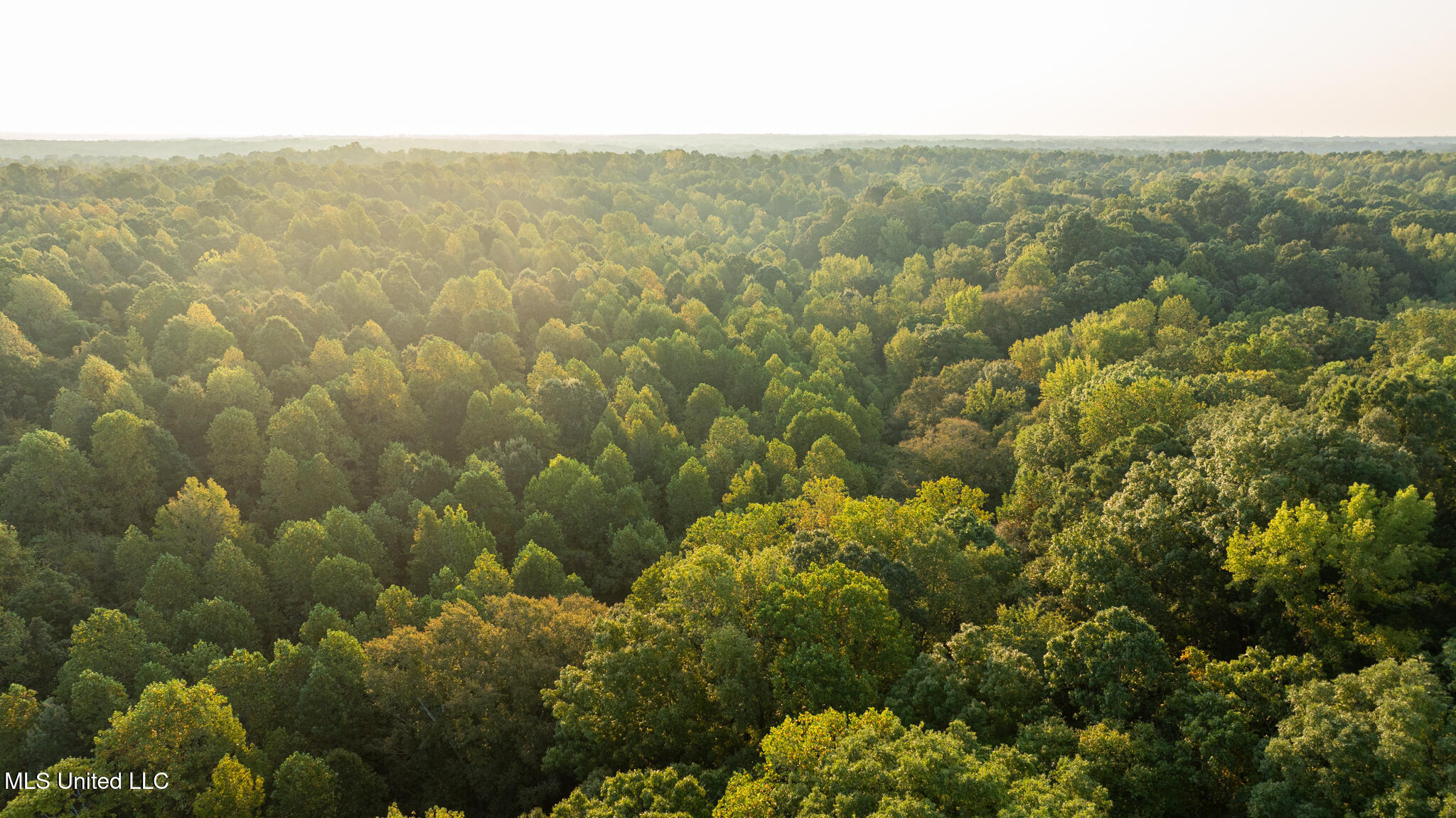 1912 Poplar Springs Road Mendenhall, MS 39114 - Photo 83 of 89 MLS Tallahatchie 847 -83